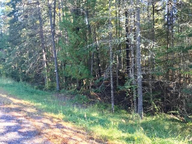 131 Jacob Buck Pond Road Bucksport, ME 04416 - Photo 1 of 11 Photo