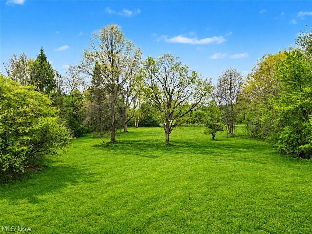 1123 North Hametown Road Akron, OH 44333 - Photo 4 of 6