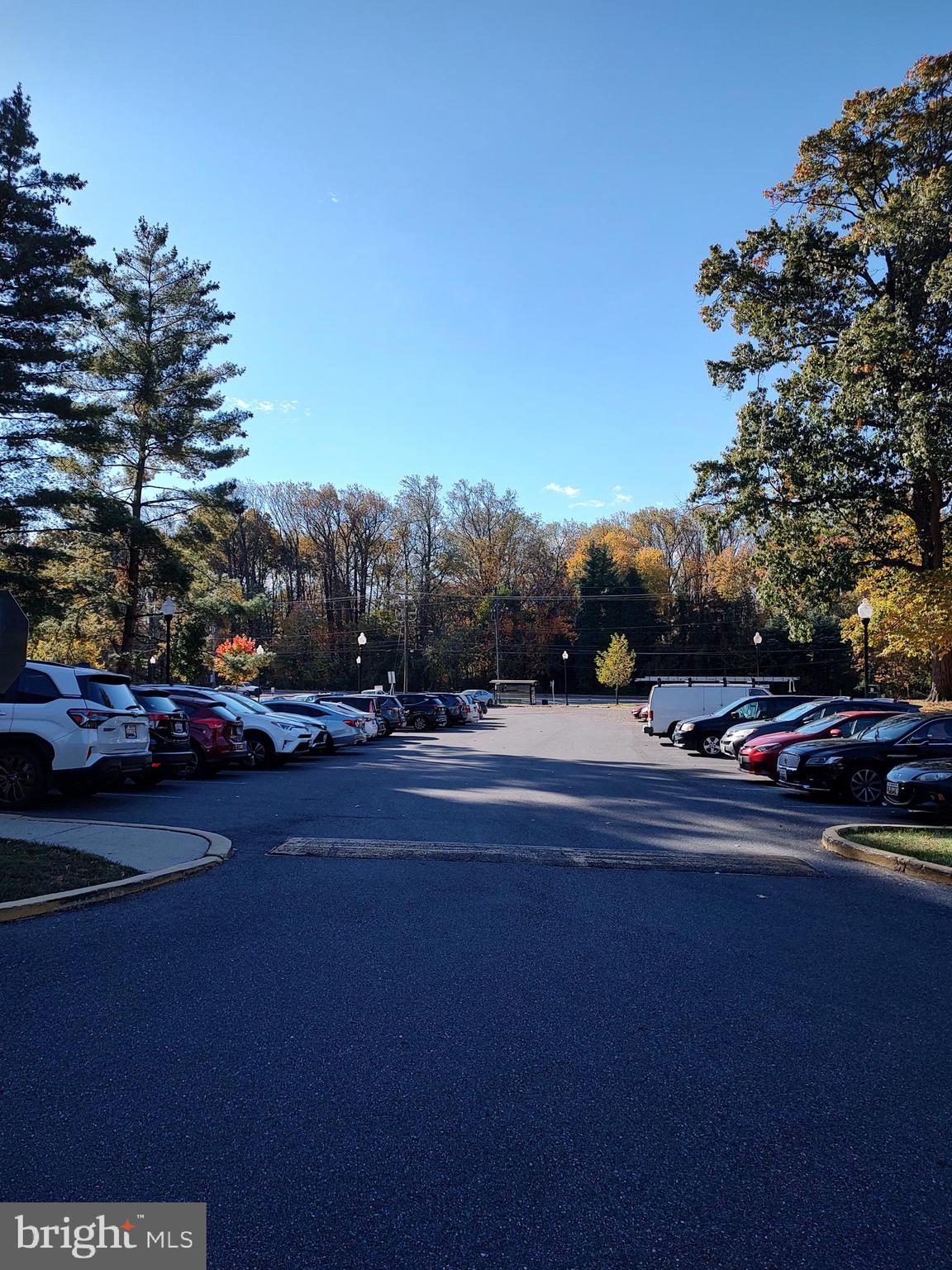 1111 University Boulevard West, Unit 719A Silver Spring, MD 20902 - Photo 31 of 41 a view of street with houses
