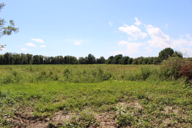 Lot 7 Mink Farm Road, Unit 7 Onancock, VA 23417 - Photo 9 of 27