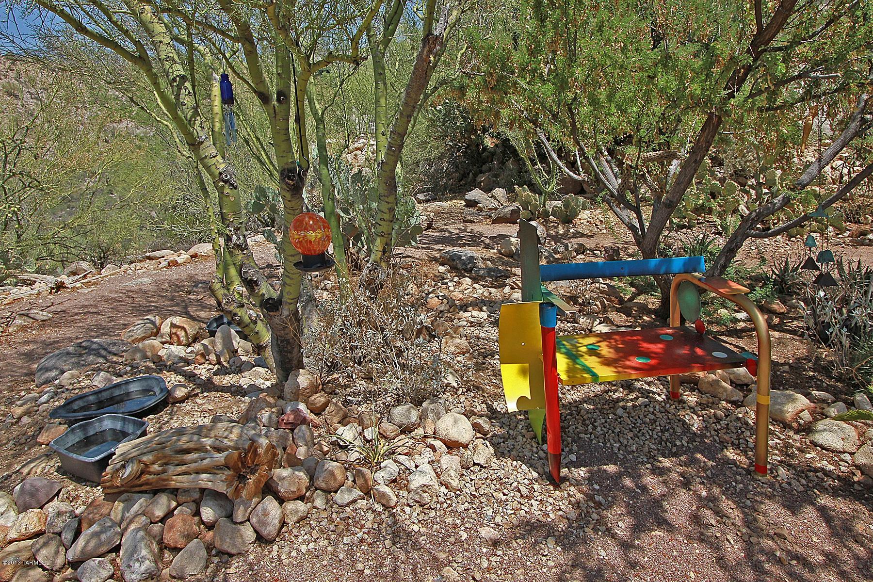 1909 East Buck Ridge Place Tucson, AZ 85737 - Photo 36 of 44