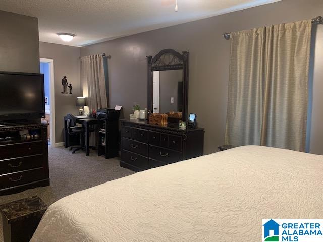 6927 Grey Hill Road West Blocton, AL 35184 - Photo 16 of 58