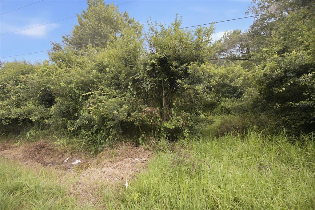 0 Old Dade City Road Kathleen, FL 33849 - Photo 12 of 29 Gallery Image 12