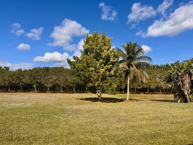 a view of outdoor space with trees