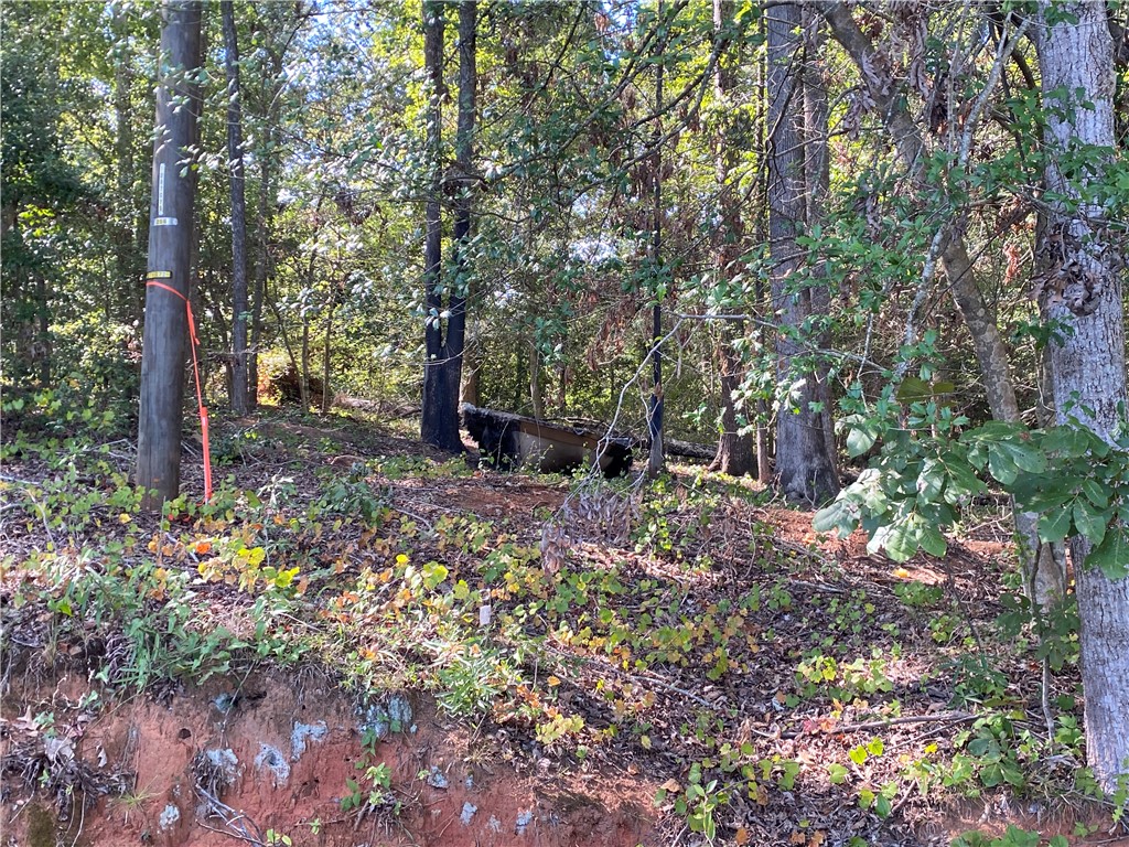 0 Mcfalls Circle Anderson, SC 29621 - Photo 7 of 7 Mature trees line this sloped wooded lot presenting a natural landscape.