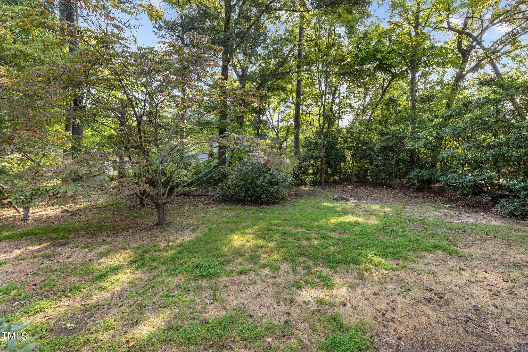 5110 Raintree Road Durham, NC 27712 - Photo 17 of 23 a view of a yard with a tree