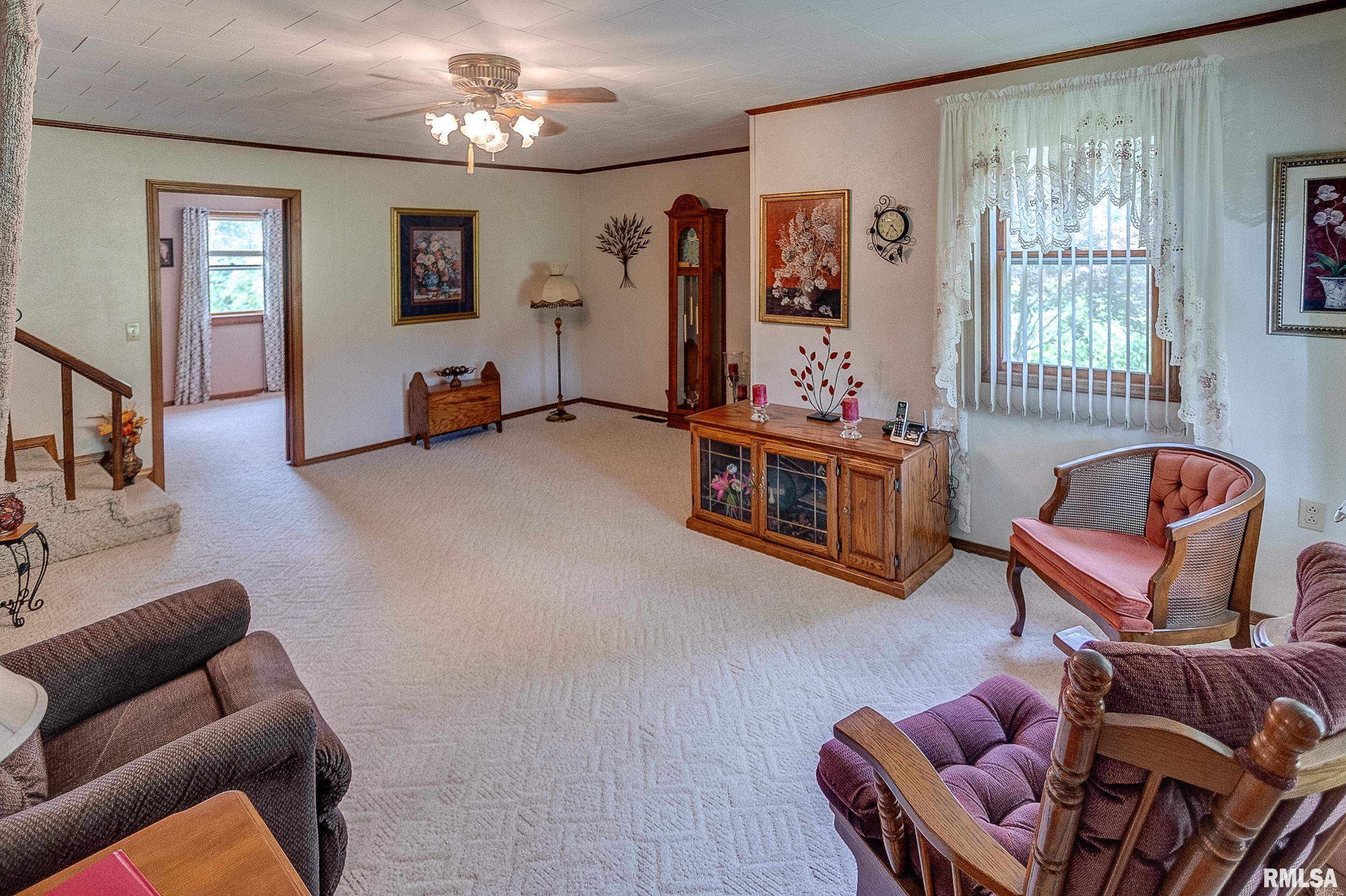 16982 East Payton Road Opdyke, IL 62872 - Photo 3 of 23 Gallery Image 3