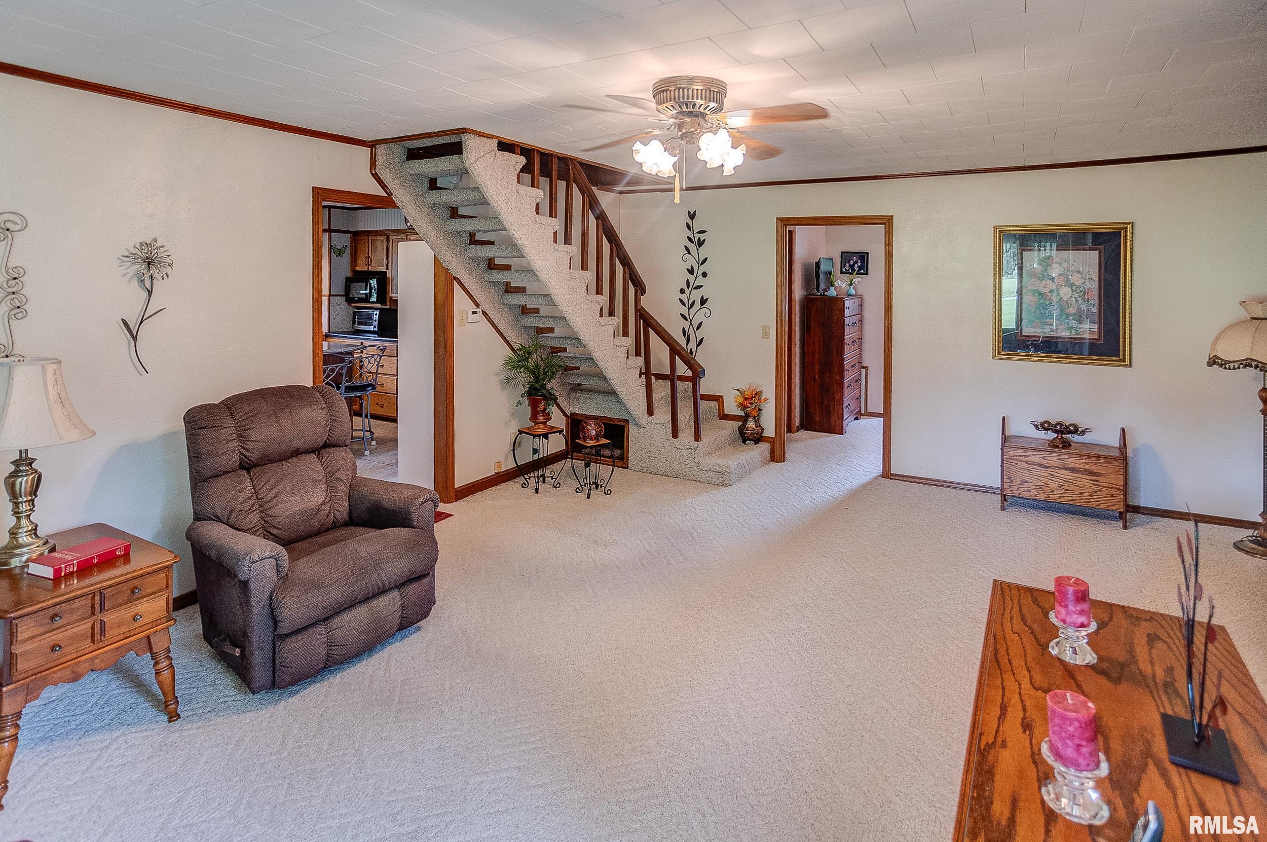 16982 East Payton Road Opdyke, IL 62872 - Photo 4 of 23 Gallery Image 4