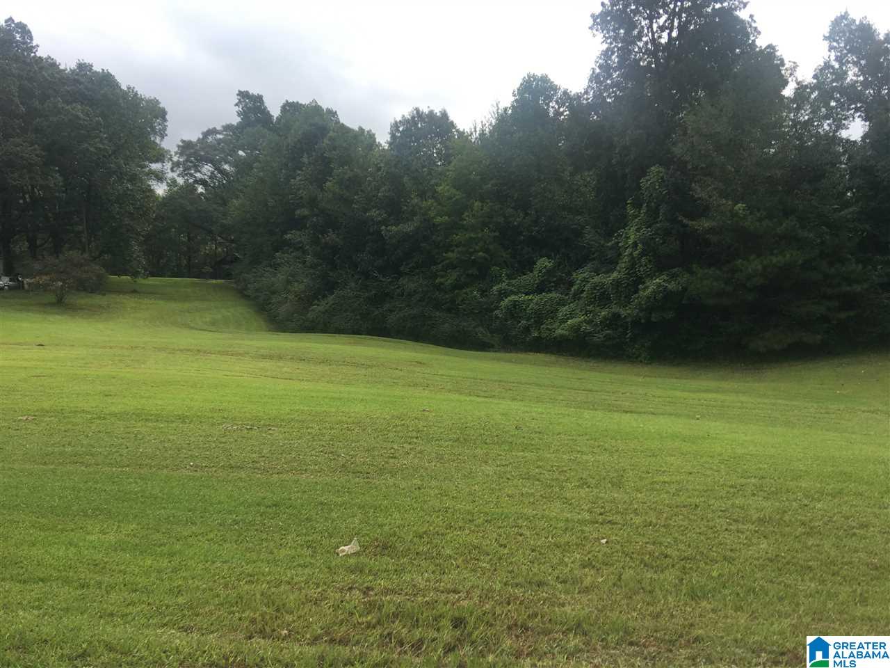 Old Tuscaloosa Road Jasper, AL 35501 - Photo 1 of 1