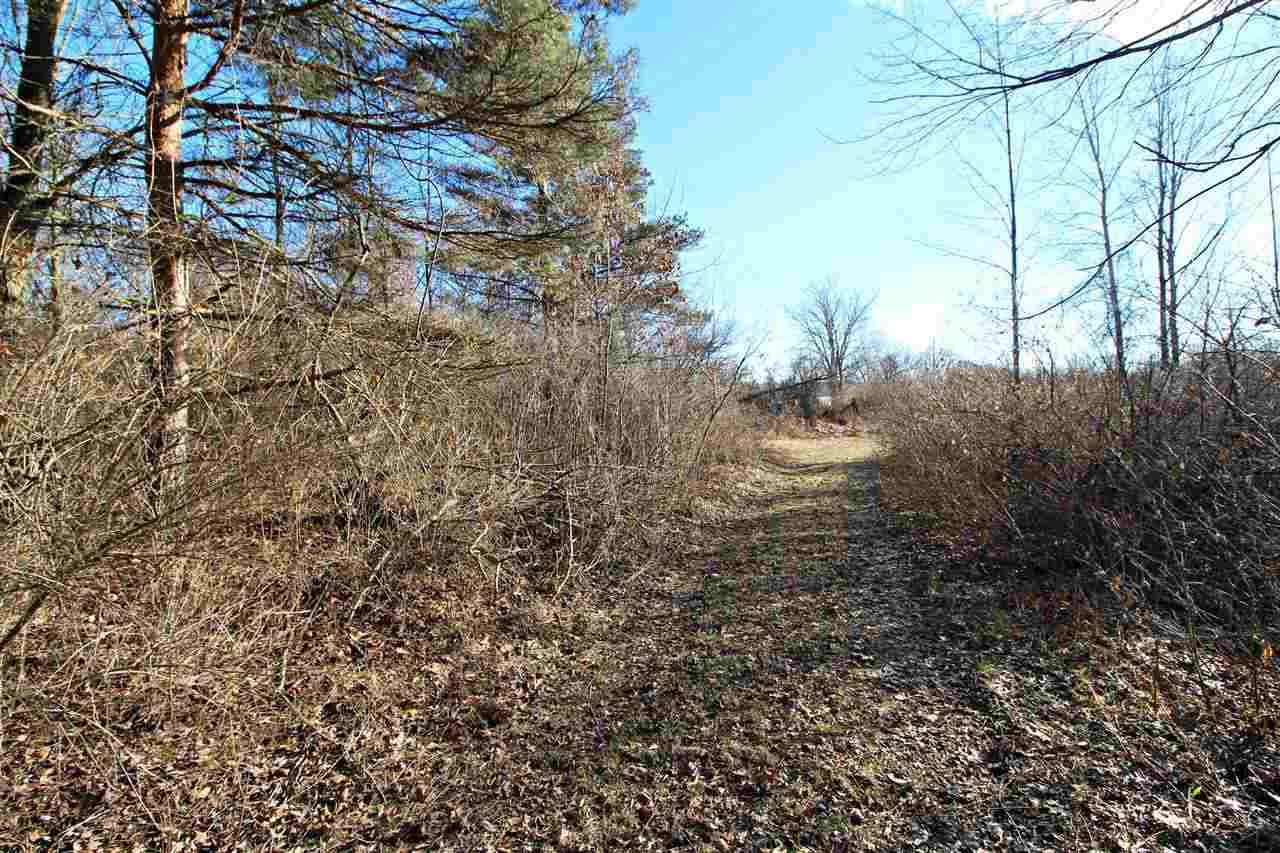 East Braden Road Byron, MI 48418 - Photo 4 of 4