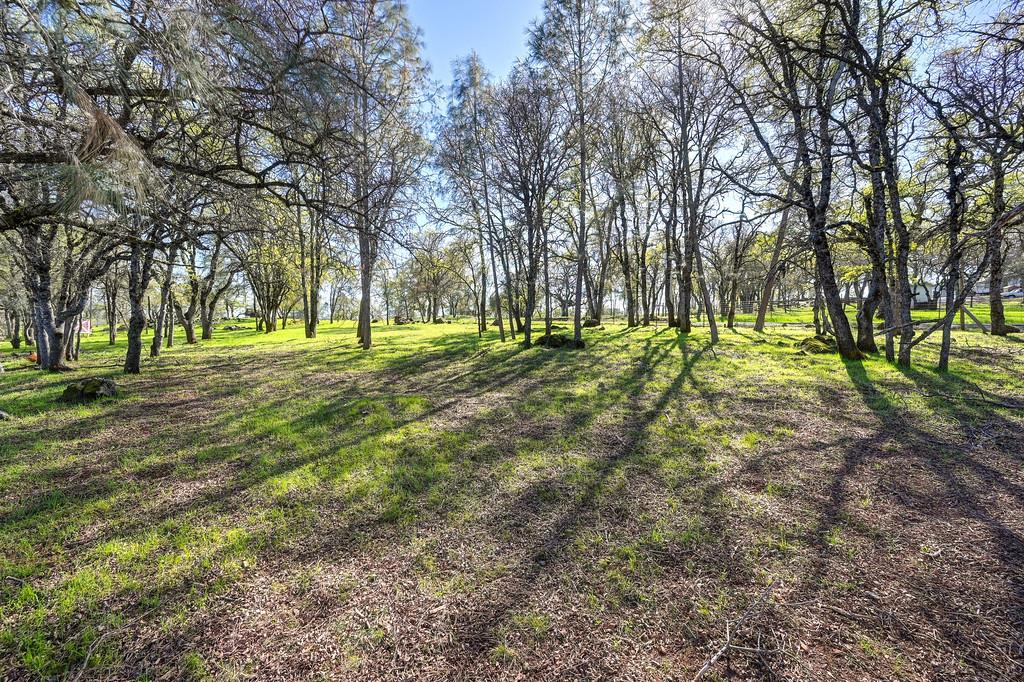 5508 High Sierra Road Pilot Hill, CA 95664 - Photo 58 of 86