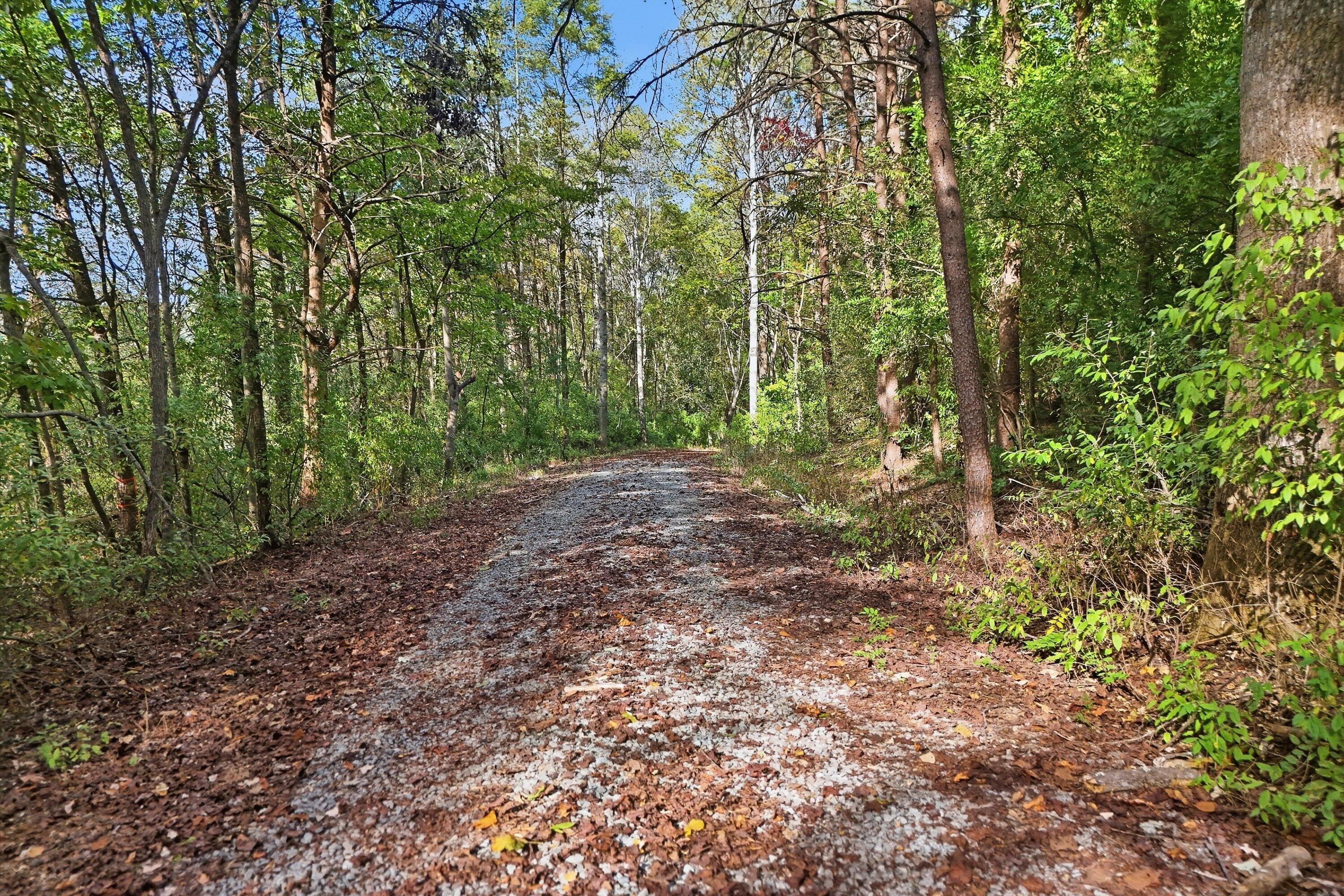 853 Juniper Road Hardy, VA 24101 - Photo 16 of 25 12-853Juniper_013