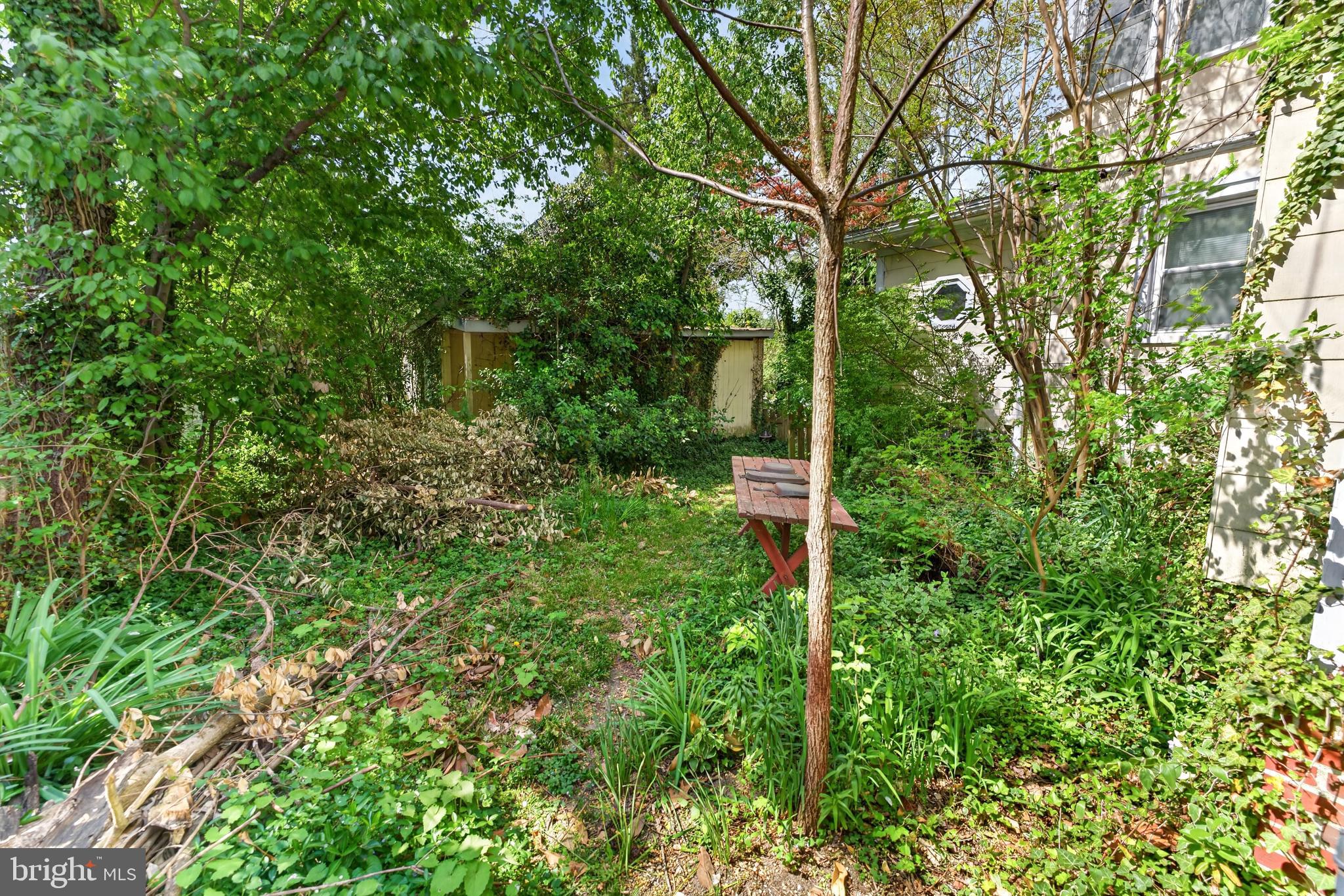 522 Market Street Denton, MD 21629 - Photo 46 of 49 a view of yard