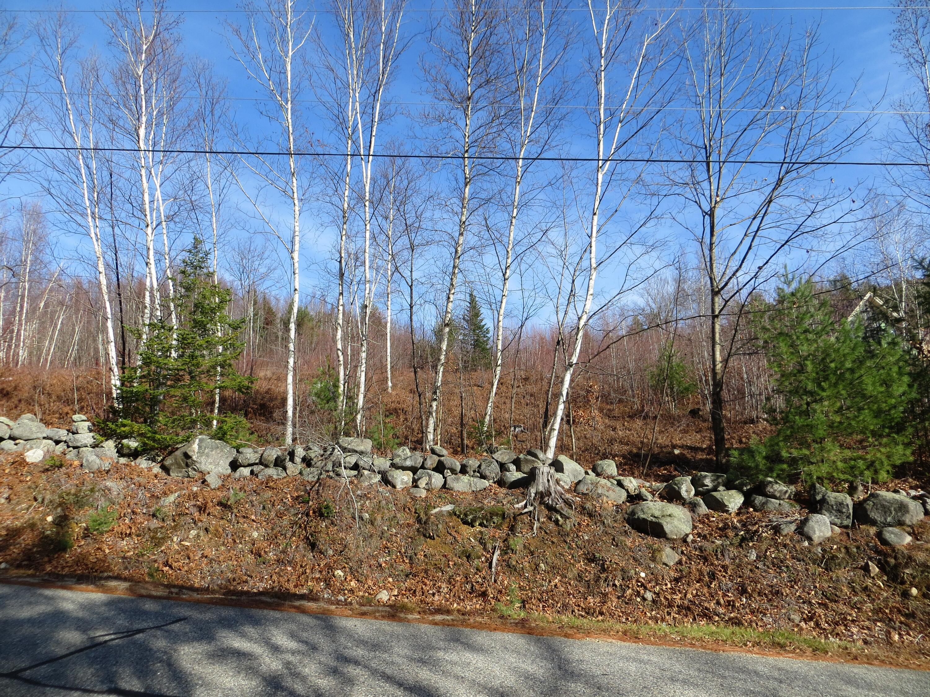 Lot #9 Taylor Smith Road Bethel, ME 04217 - Photo 20 of 22 Street view entire lot