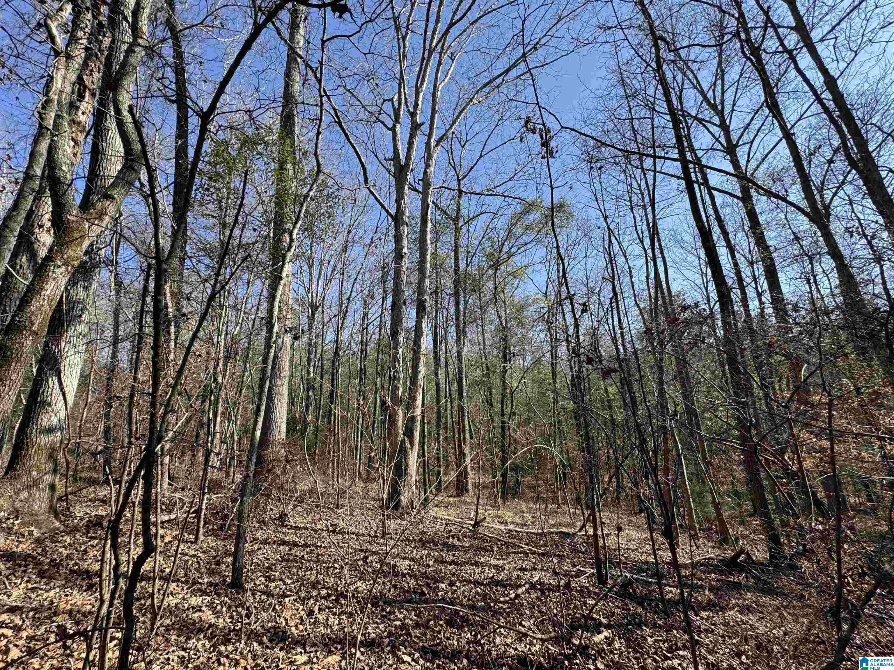 7 Rockyview Road, Unit 7 West Blocton, AL 35184 - Photo 7 of 10