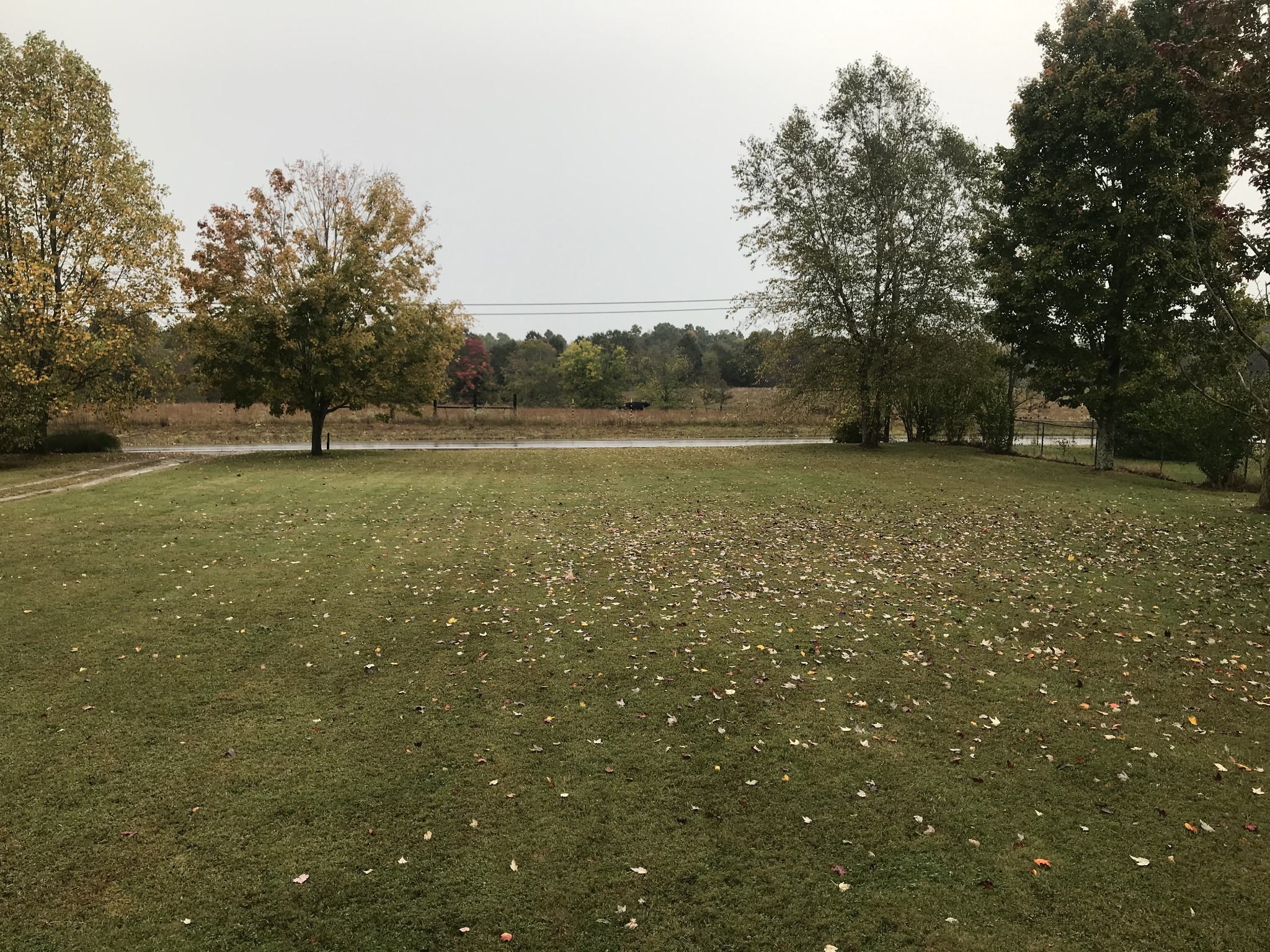 806 Old Gallatin Road Portland, TN 37148 - Photo 3 of 16 a view of a field with trees in the background