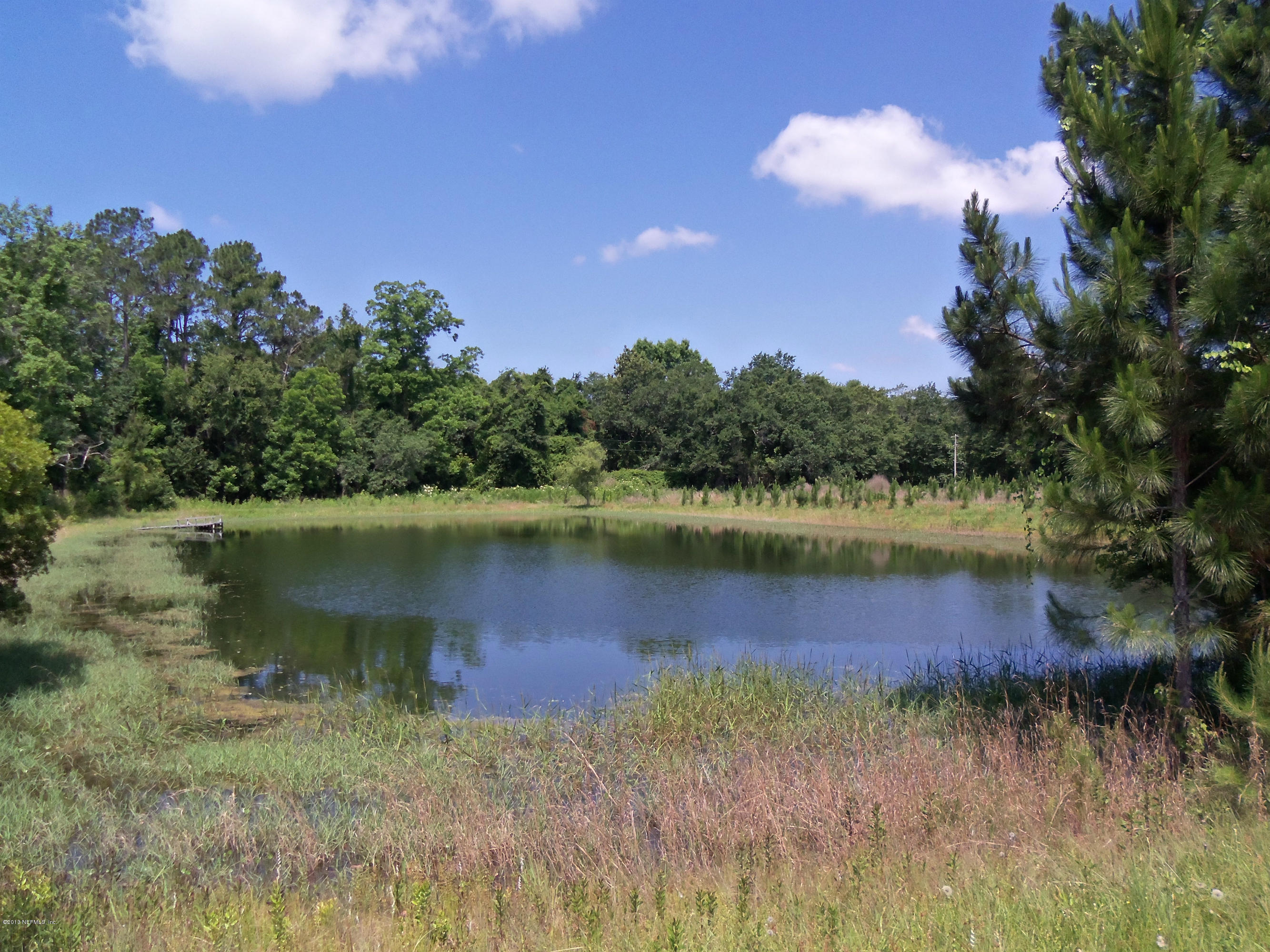 Tba Carroll Corner Road Hilliard, FL 32046 - Photo 5 of 5 Stocked pond