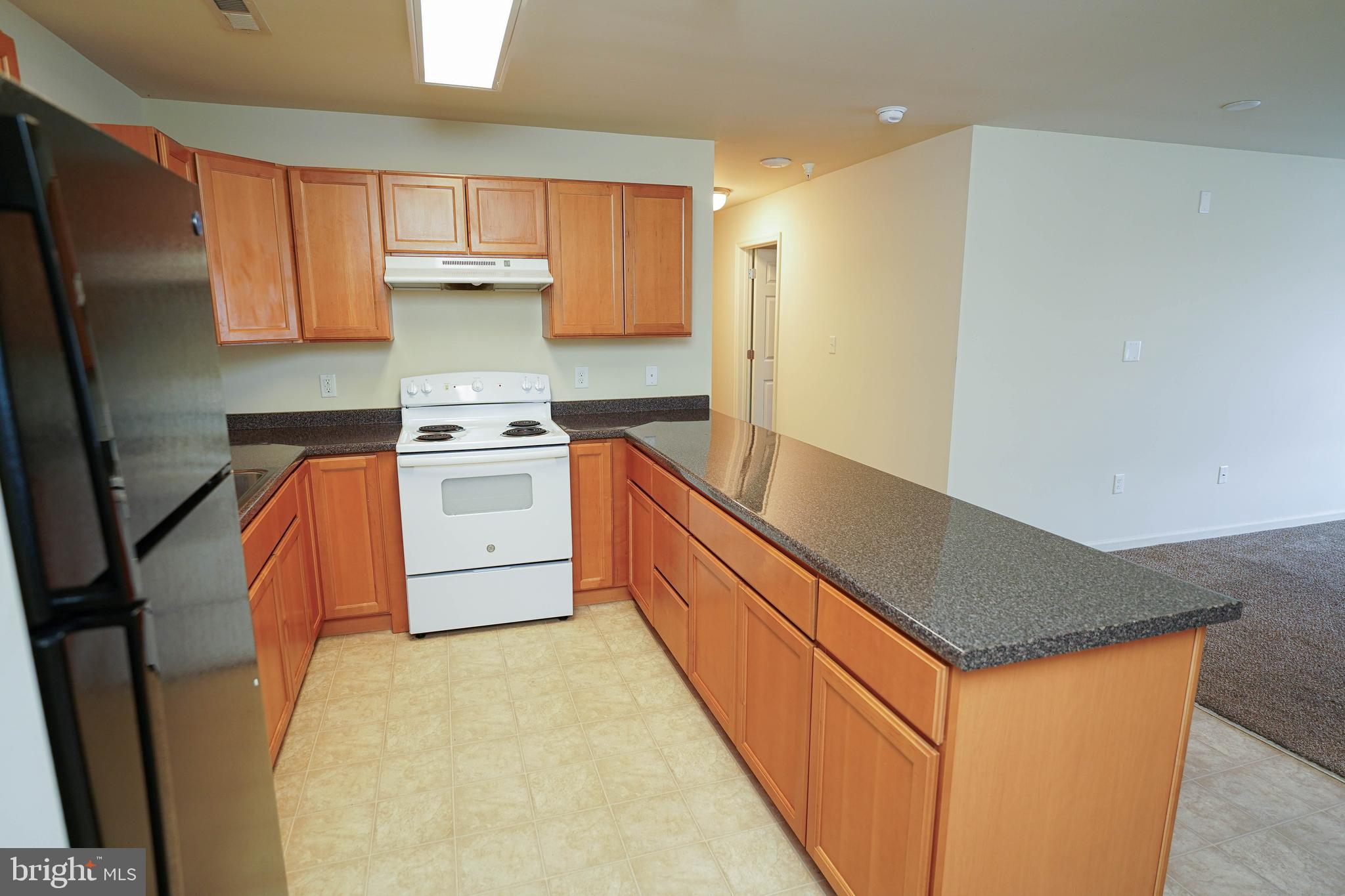 30630 Umes Boulevard, Unit V204 Princess Anne, MD 21853 - Photo 10 of 36 a kitchen with stainless steel appliances granite countertop a stove a sink dishwasher and a refrigerator