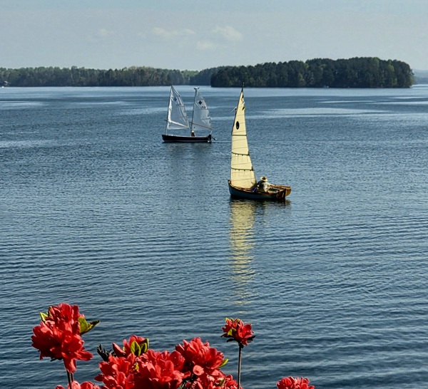 516 Hillandale Road Seneca, SC 29672 - Photo 46 of 50 Watching the Sailboats