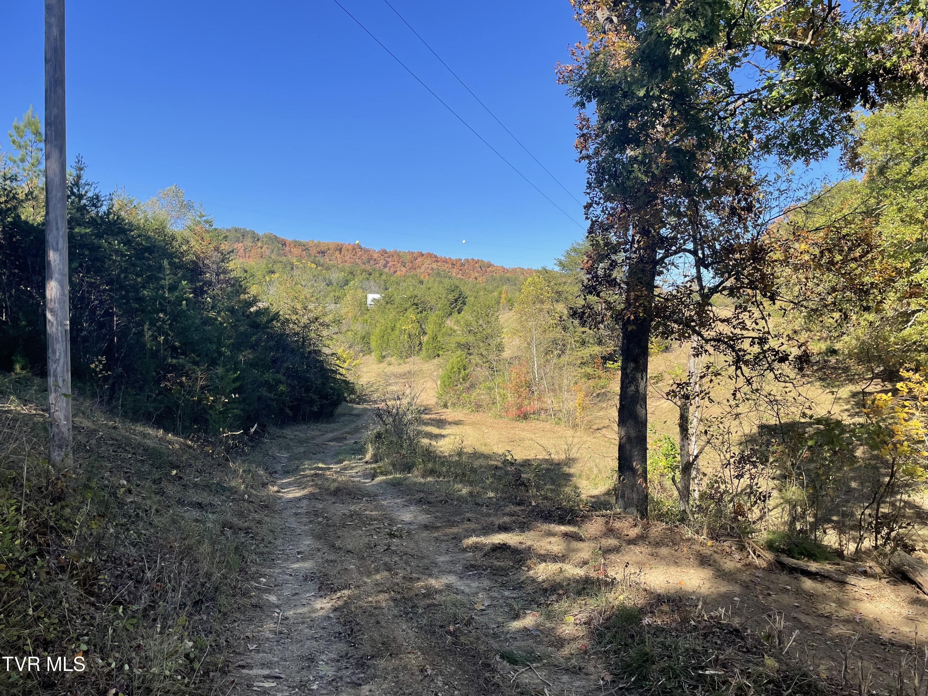 2280 Westwood Road Mohawk, TN 37810 - Photo 25 of 31 IMG_8928