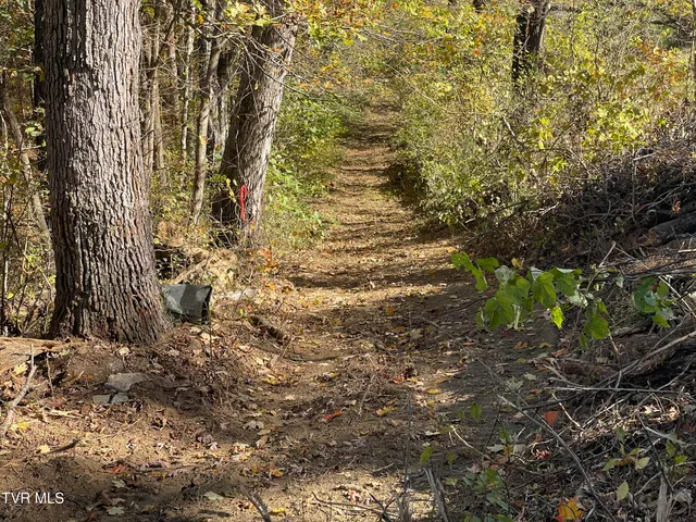 $220,000 | 2280 Westwood Road, Mohawk, TN 37810