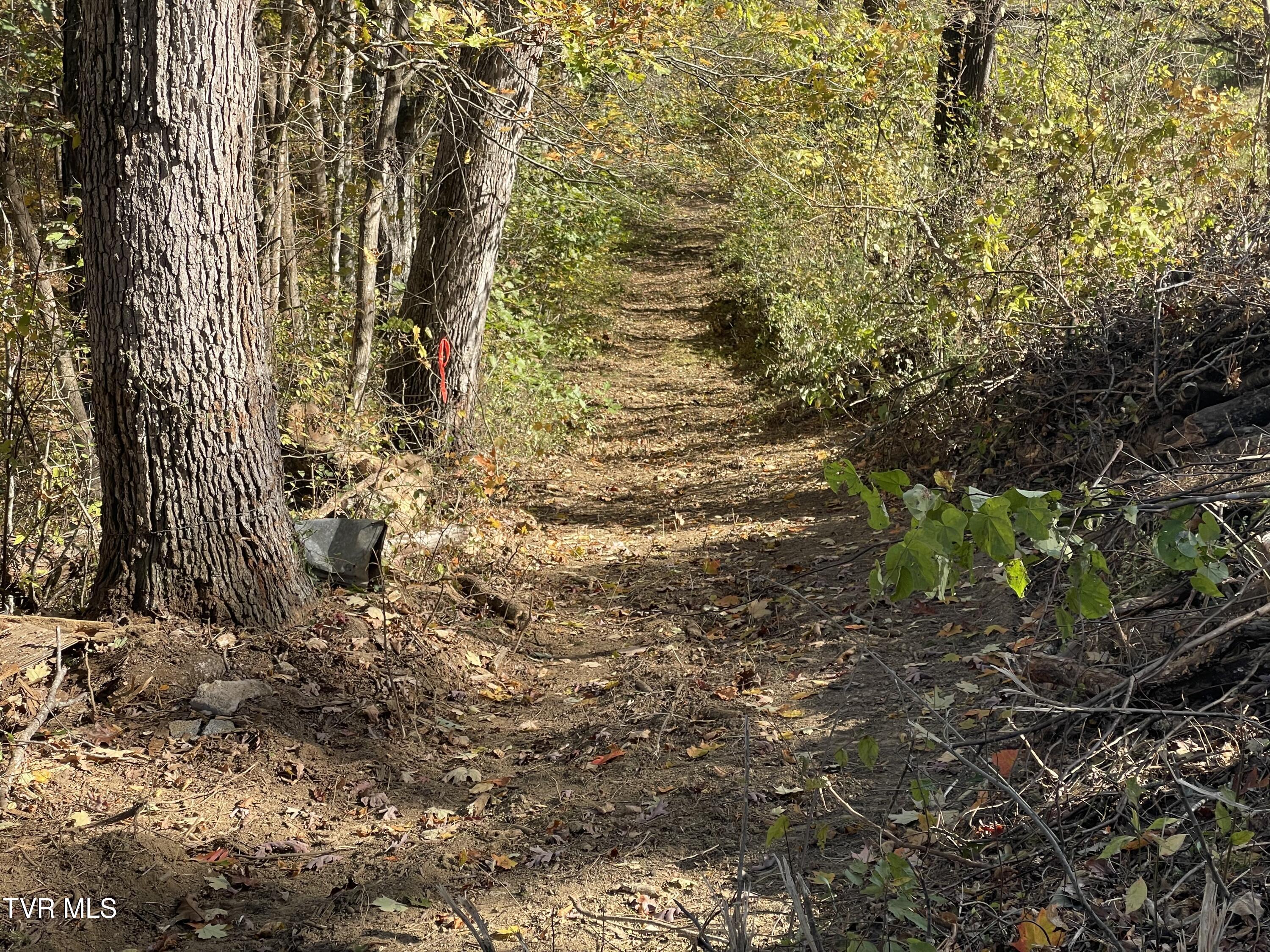 2280 Westwood Road Mohawk, TN 37810 - Photo 26 of 31 IMG_8929