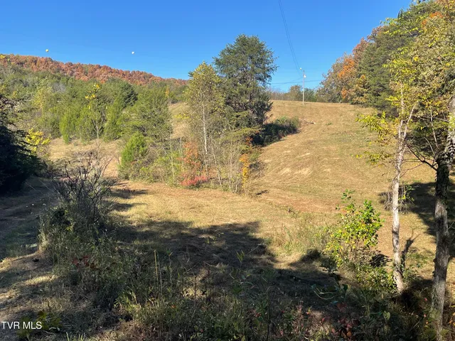 $220,000 | 2280 Westwood Road, Mohawk, TN 37810