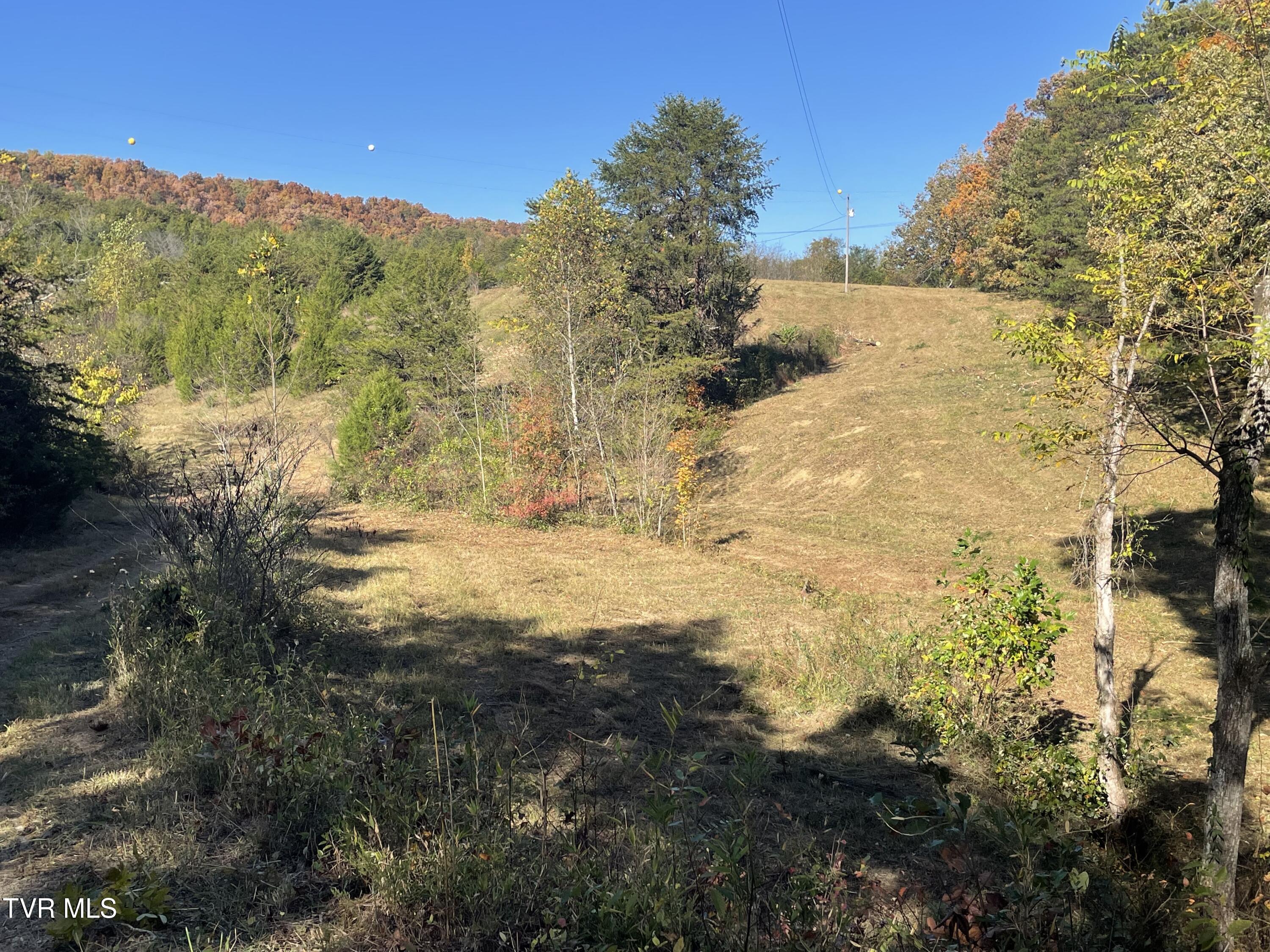 2280 Westwood Road Mohawk, TN 37810 - Photo 27 of 31 IMG_8930