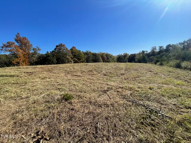 $220,000 | 2280 Westwood Road, Mohawk, TN 37810