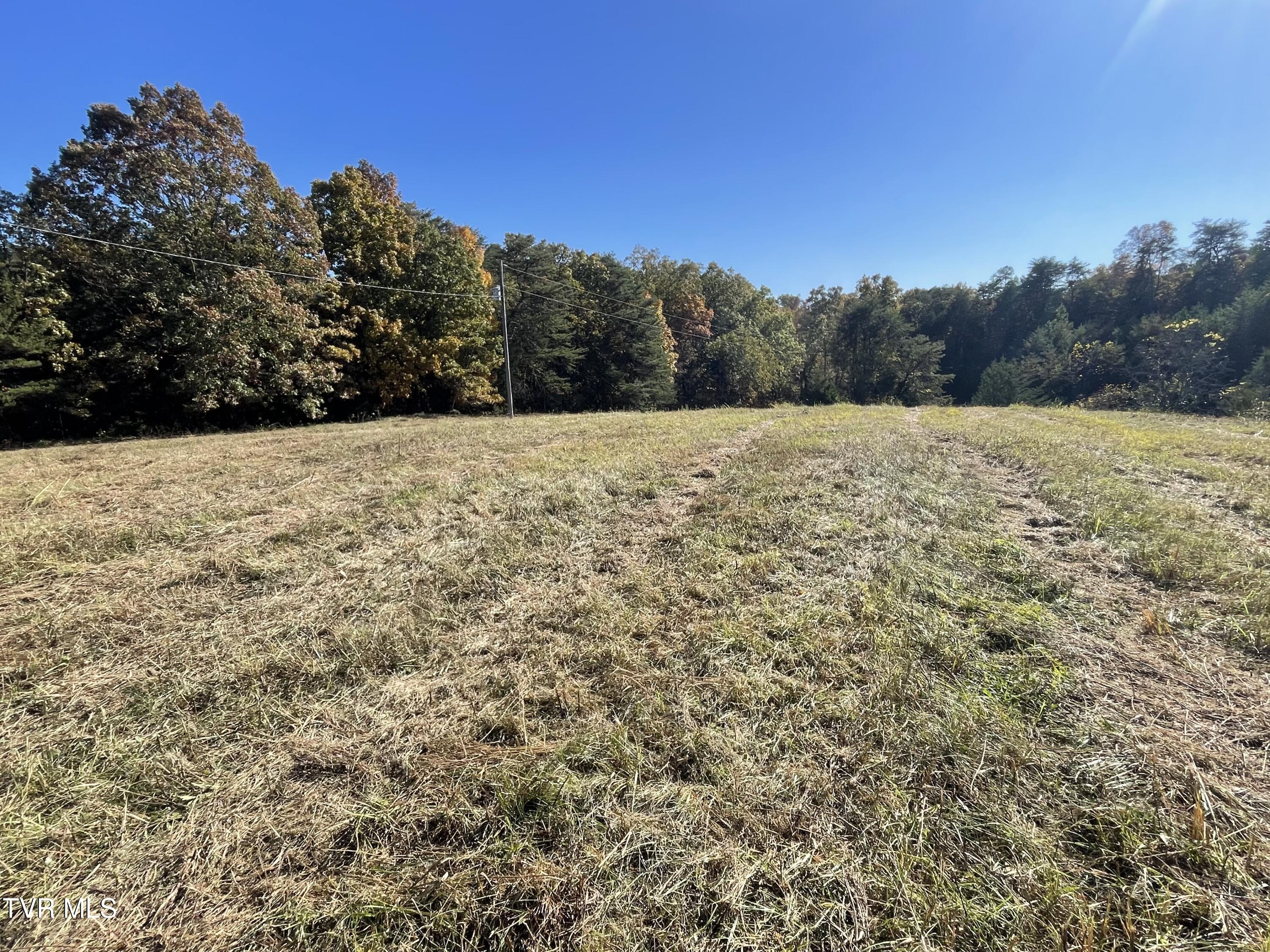 2280 Westwood Road Mohawk, TN 37810 - Photo 31 of 31 IMG_8937