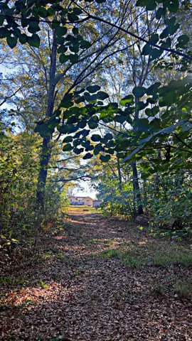 a view of outdoor space with swimming pool