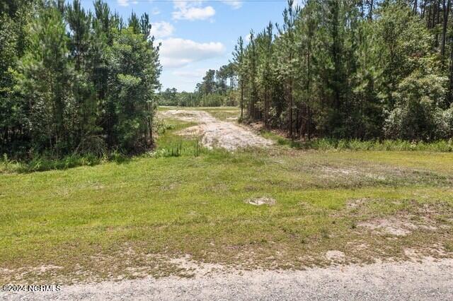 268 Mill Creek Road Stella, NC 28582 - Photo 2 of 13 thumbnail_2-web-or-mls-02