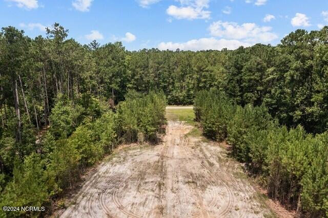 268 Mill Creek Road Stella, NC 28582 - Photo 3 of 13 thumbnail_3-web-or-mls-03