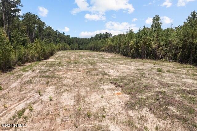 268 Mill Creek Road Stella, NC 28582 - Photo 5 of 13 thumbnail_5-web-or-mls-05