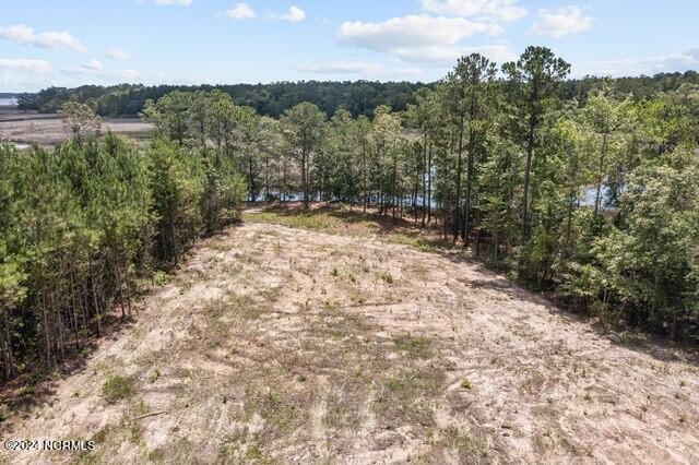 268 Mill Creek Road Stella, NC 28582 - Photo 6 of 13 thumbnail_6-web-or-mls-06