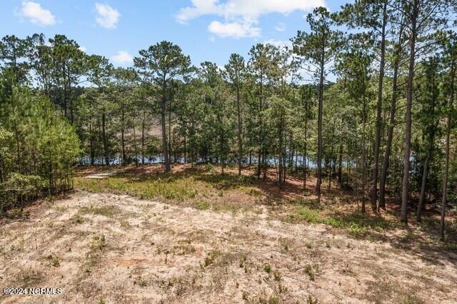 268 Mill Creek Road Stella, NC 28582 - Photo 7 of 13 thumbnail_7-web-or-mls-07