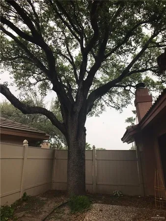 $1,565 | 242 San Jacinto Street, Mission, TX 78572