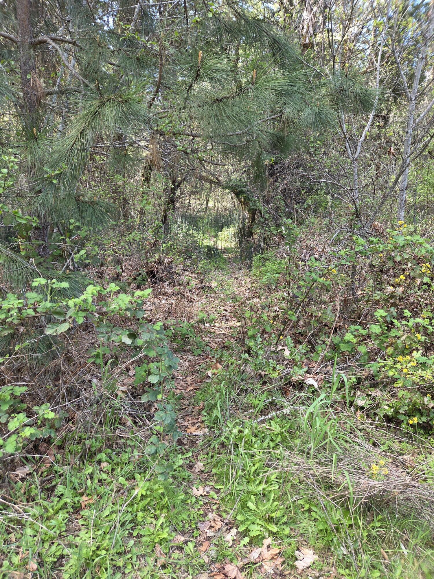 3760 Pleasant Creek Road Rogue River, OR 97537 - Photo 29 of 36