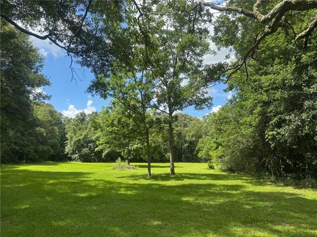 0 Cowart Road Bush, LA 70431 - Photo 2 of 10