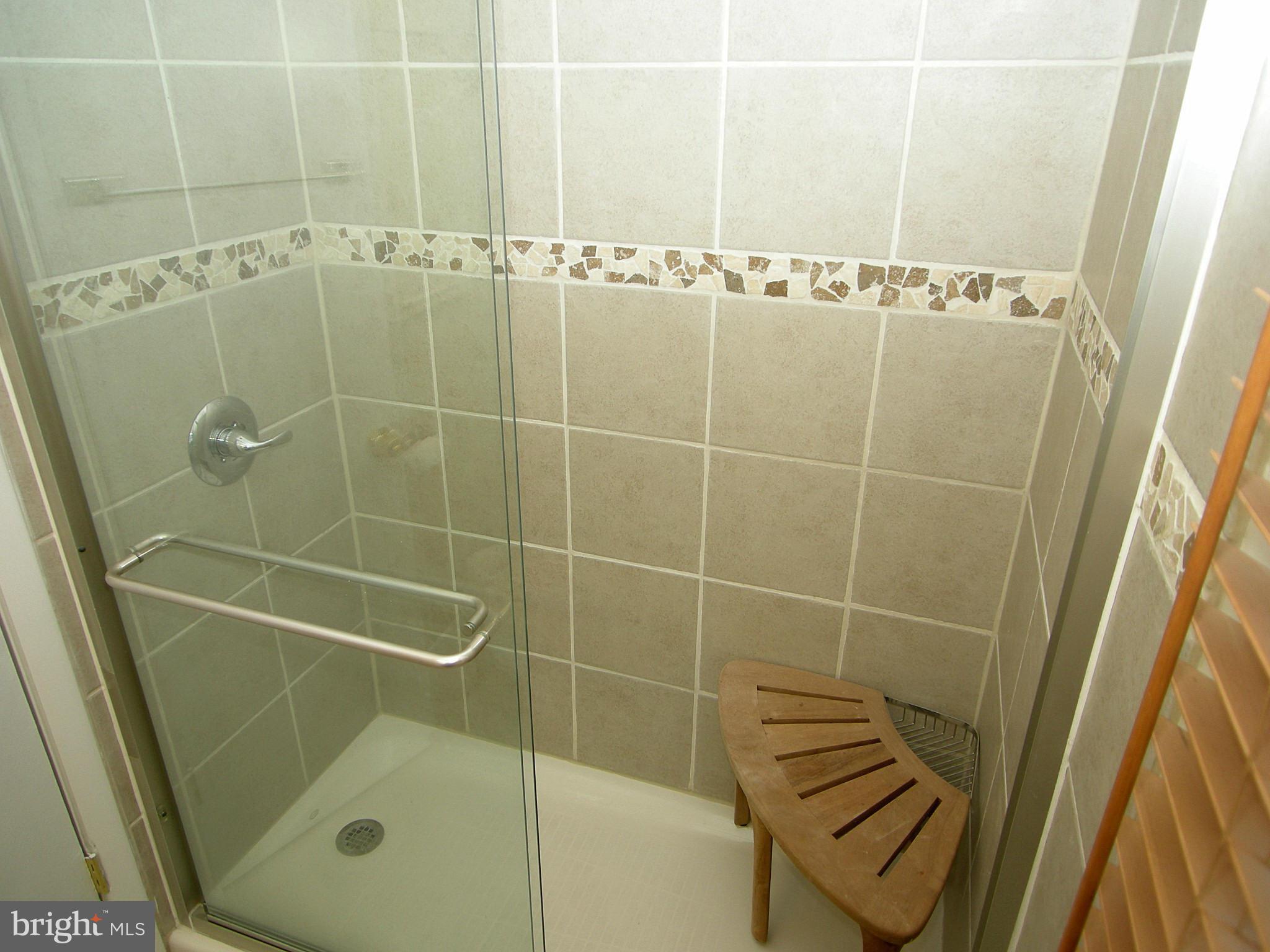 4514 Rising Lane Bowie, MD 20715 - Photo 12 of 21 Shower