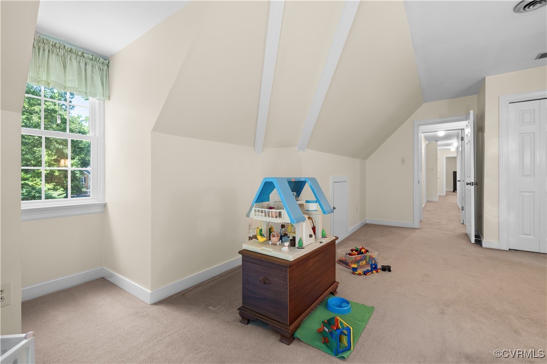 14230 Netherfield Drive Midlothian, VA 23113 - Photo 40 of 48