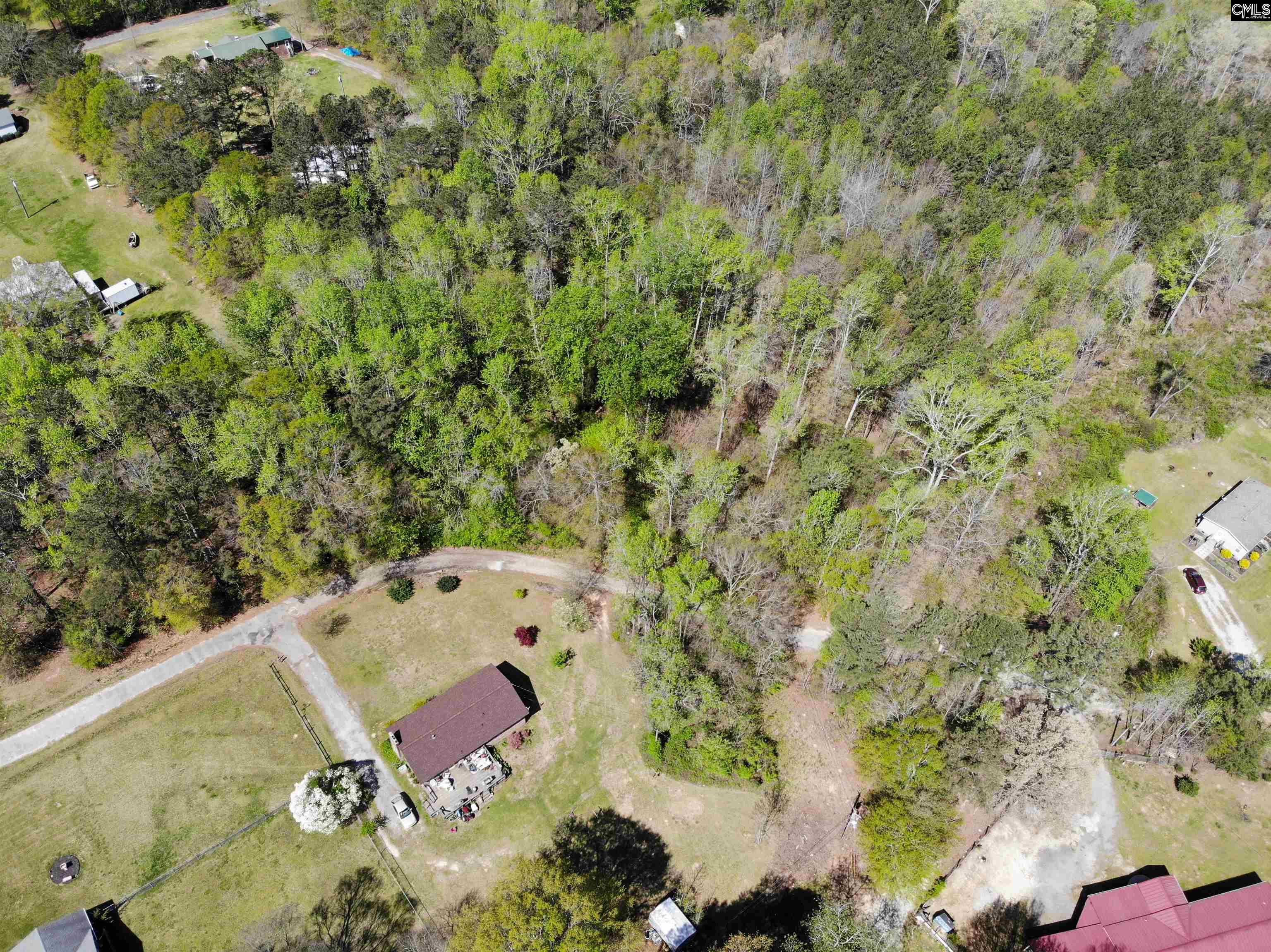 Tbd James Road Joanna, SC 29351 - Photo 72 of 82