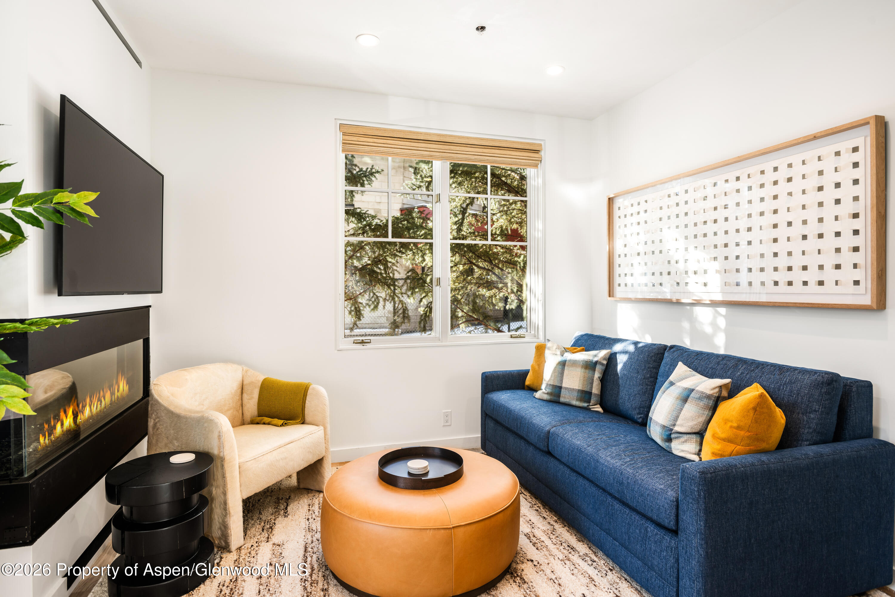 501 West Main Street, Unit A101 Aspen, CO 81611 - Photo 2 of 8 a living room with furniture and a potted plant