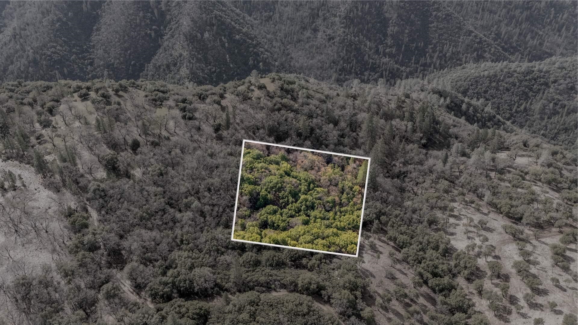 25555 Forest Rte 3N11 Columbia, CA 95310 - Photo 3 of 11