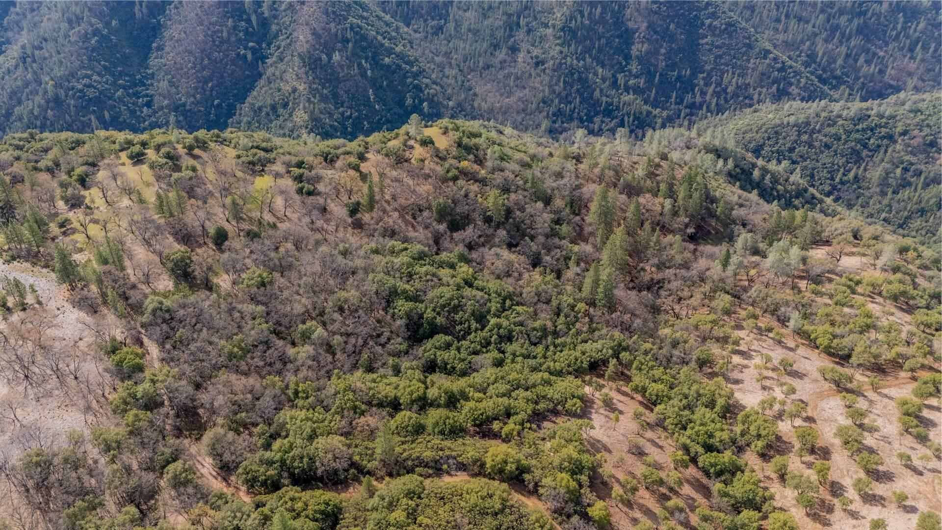 25555 Forest Rte 3N11 Columbia, CA 95310 - Photo 4 of 11