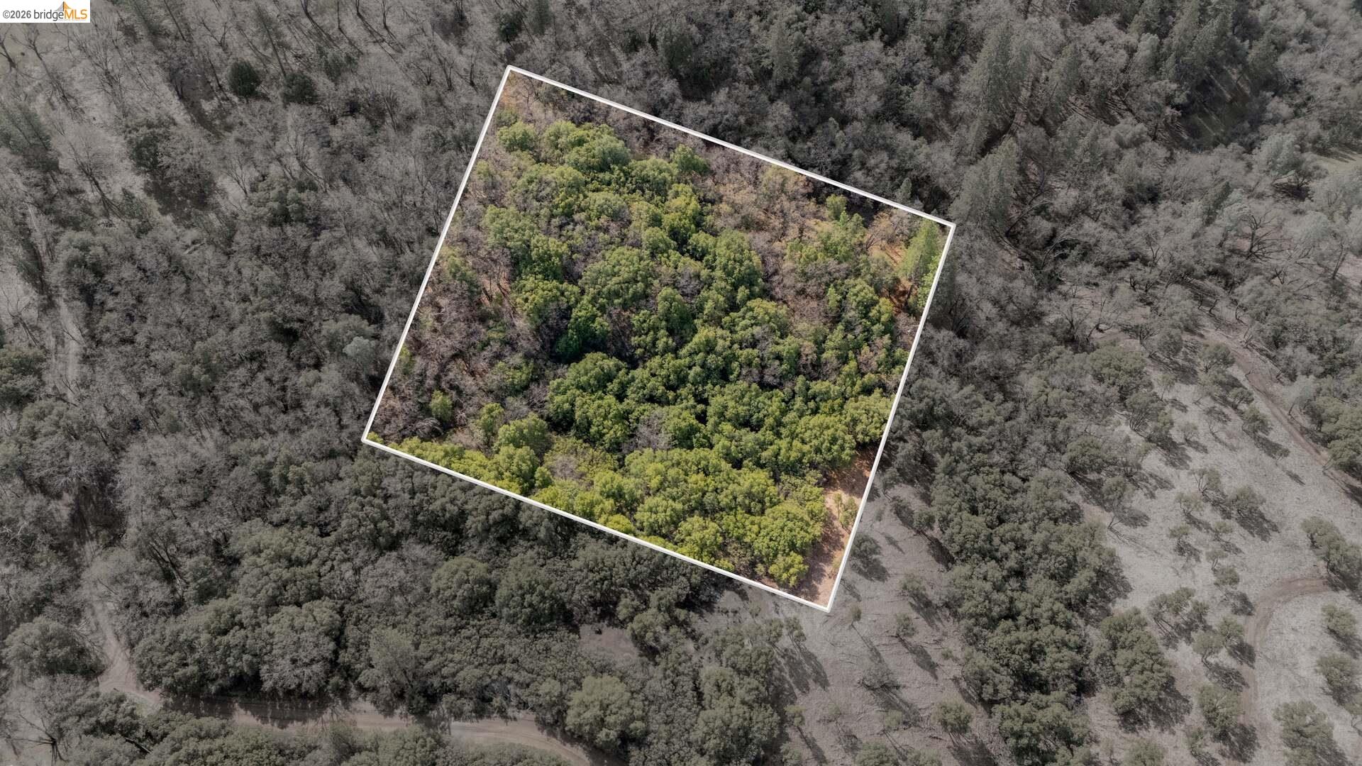 25555 Forest Rte 3N11 Columbia, CA 95310 - Photo 5 of 11