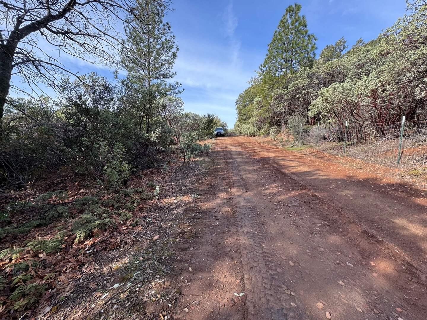 25555 Forest Rte 3N11 Columbia, CA 95310 - Photo 8 of 11