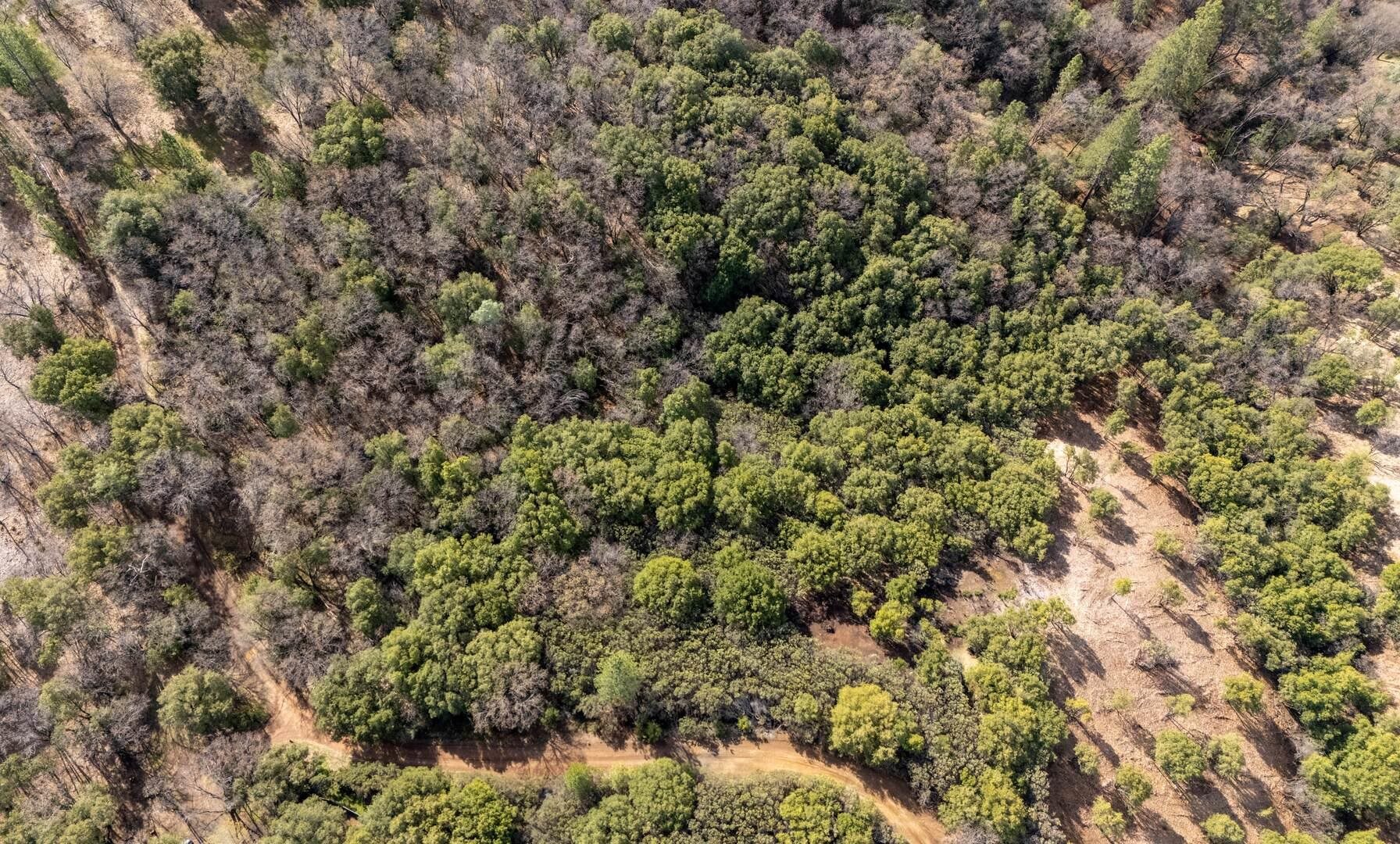 25555 Forest Rte 3N11 Columbia, CA 95310 - Photo 9 of 11