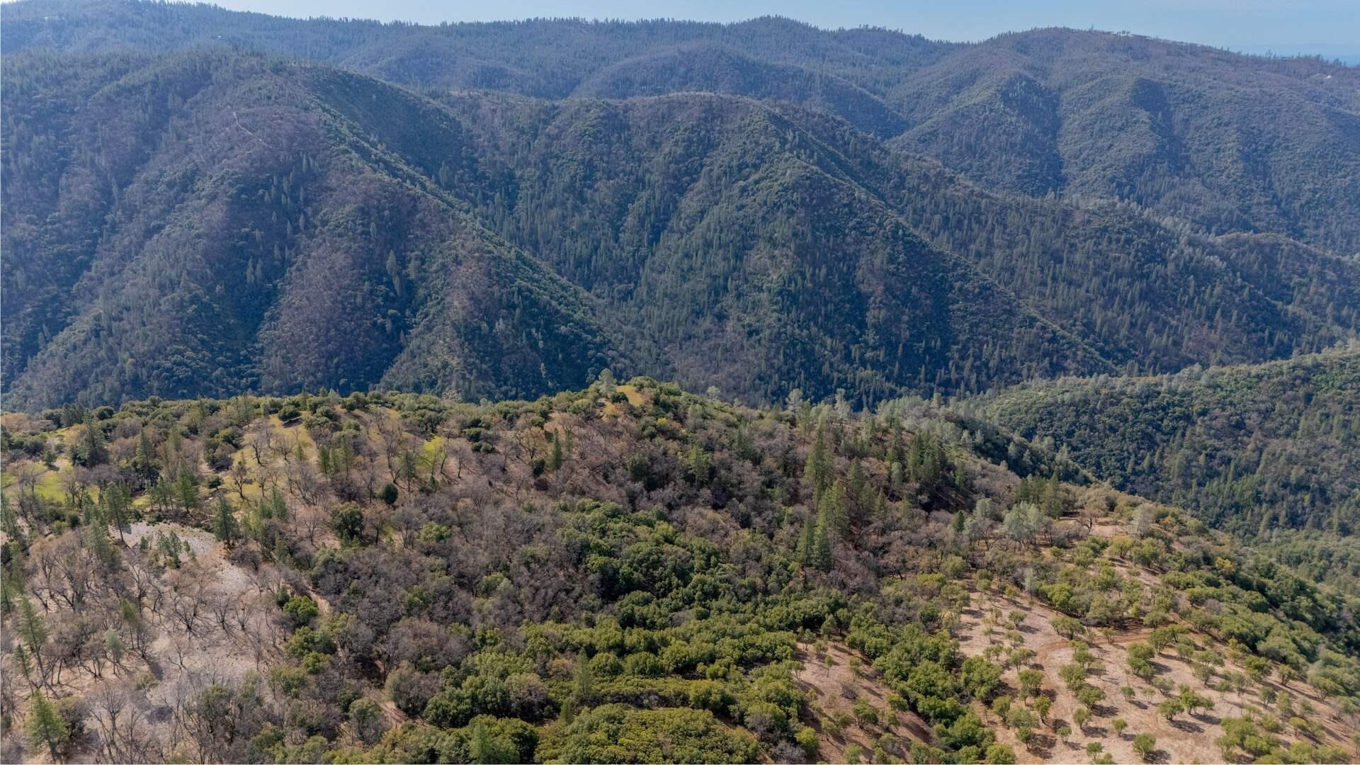 25555 Forest Rte 3N11 Columbia, CA 95310 - Photo 10 of 11