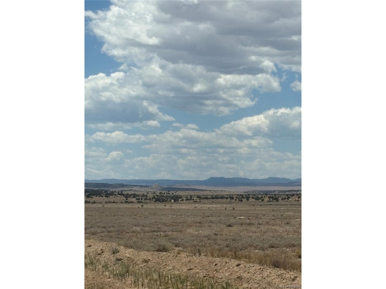 222 Turkey Ridge Ranch Walsenburg, CO 81089 - Photo 4 of 13